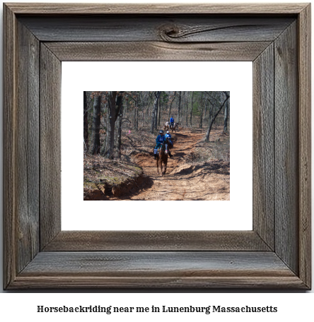 horseback riding near me in Lunenburg, Massachusetts